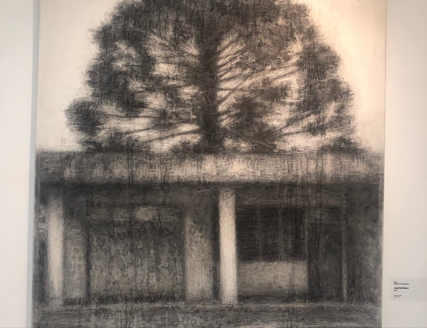 «63° Salón de Artes Plásticas Manuel Belgrano 2018», Museo Sívori, CABA