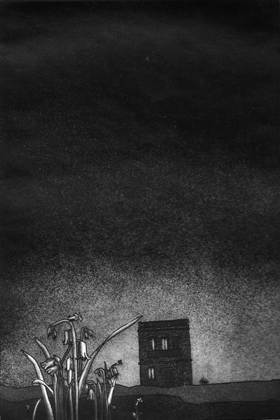LUCIA TORRES «AQUELLA CASA» Aguafuerte, Aguatinta 34X29,5cm - Año 1982 «PRIMER PREMIO Salón Juvenil de Córdoba, Grabado. Museo ´Genaro Pérez´»