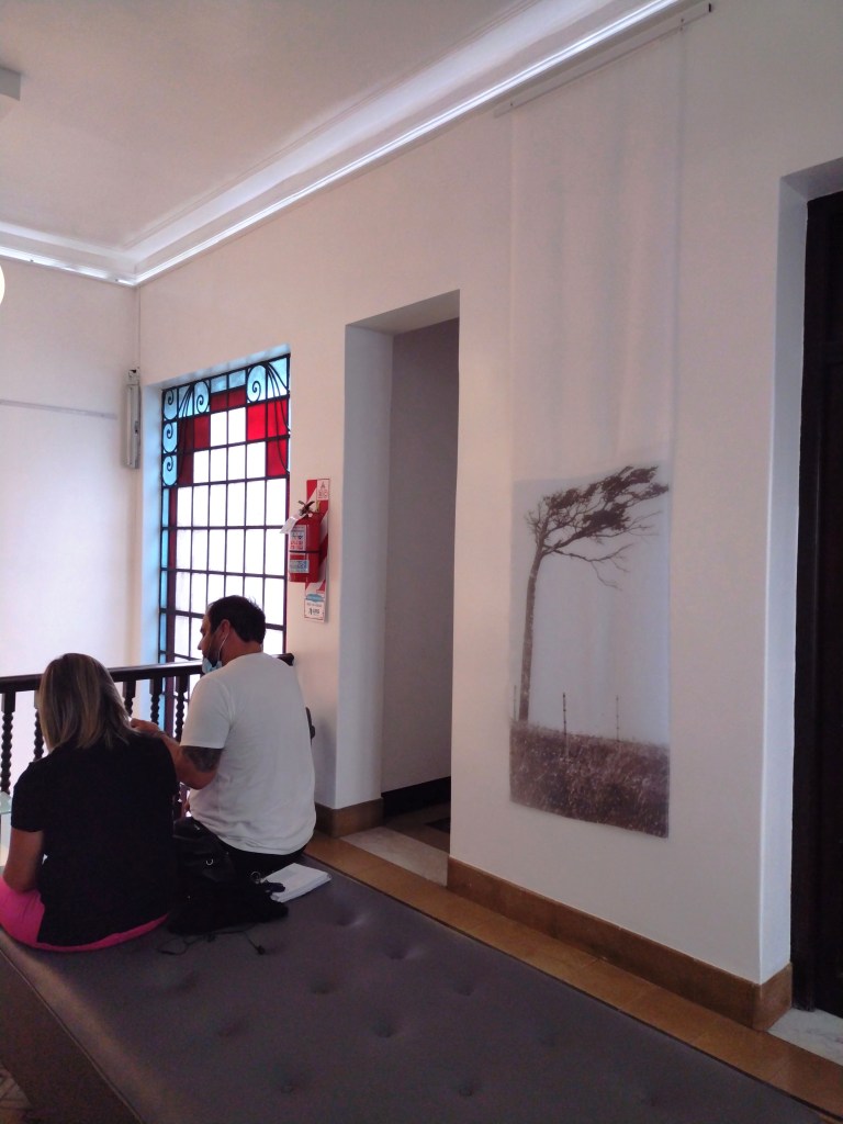 LUCIA TORRES - Instalación «MIGRANTE» en María Elena Kravetz Gallery, Córdoba