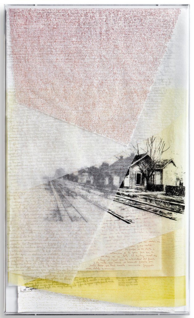 LUCIA TORRES «VIDA 1» Litografía - 100x60x4cm - Año 2018 «63° Salón de Artes Plásticas Manuel Belgrano 2018», Museo Sívori, CABA