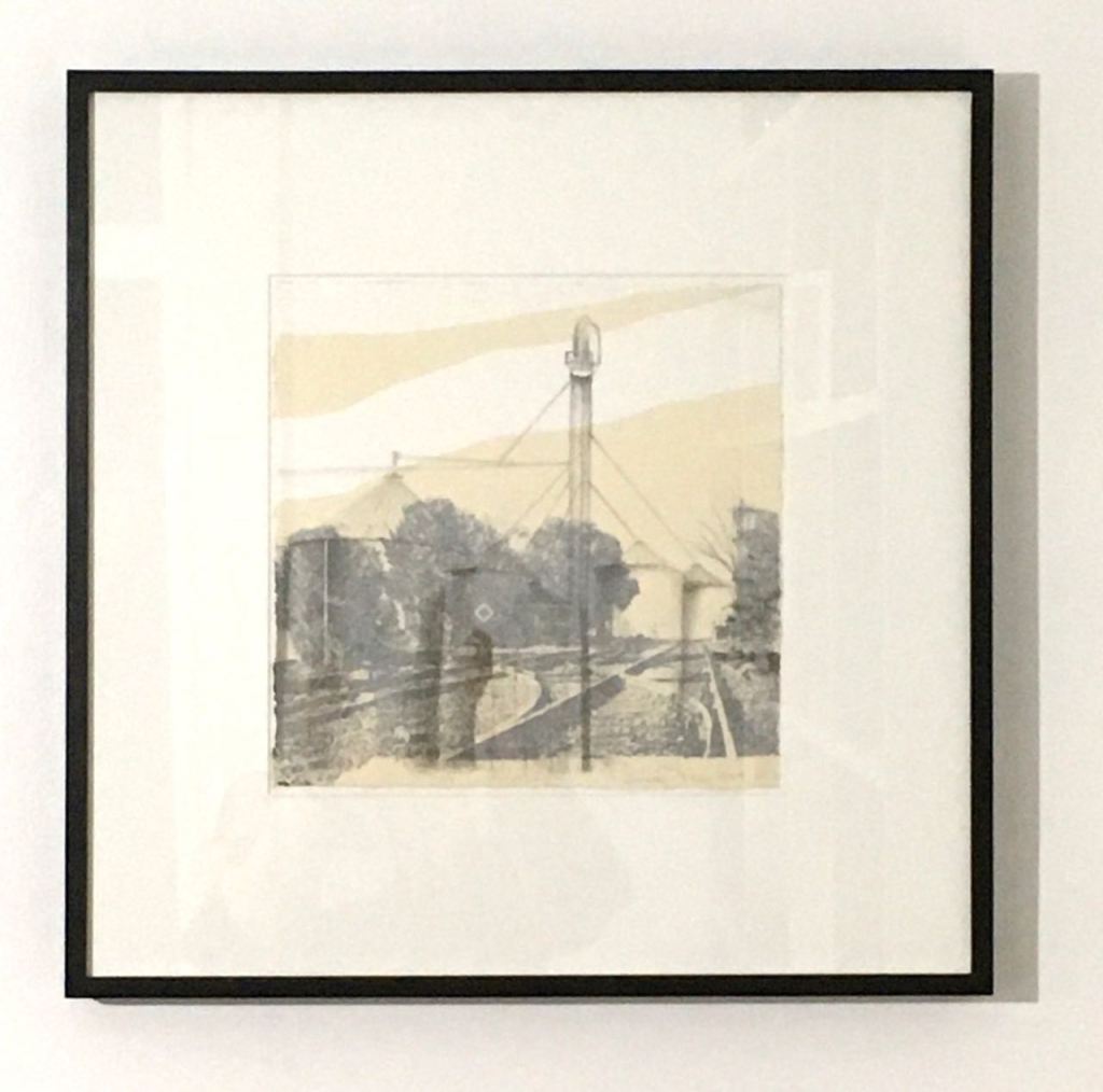 LUCIA TORRES «Serie VIDA» en «PAPEL Arte Gráfico Contemporáneo III», Museo Rómulo Raggio. Vicente López, Buenos Aires