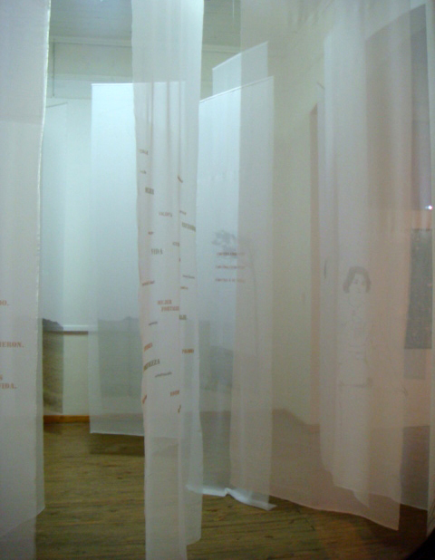 LUCIA TORRES - Instalación «MIGRANTE» en el Museo de Arte Eduardo Minnicelli