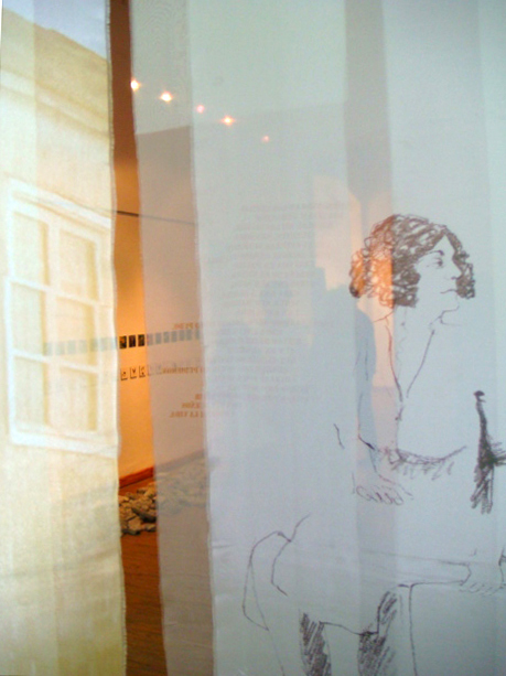 LUCIA TORRES - Instalación «MIGRANTE» en el Museo de Arte Eduardo Minnicelli