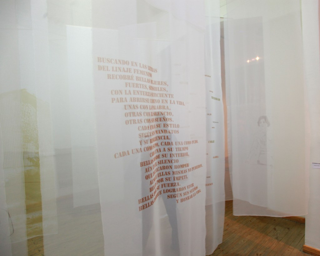 LUCIA TORRES - Instalación «MIGRANTE» en el Museo de Arte Eduardo Minnicelli