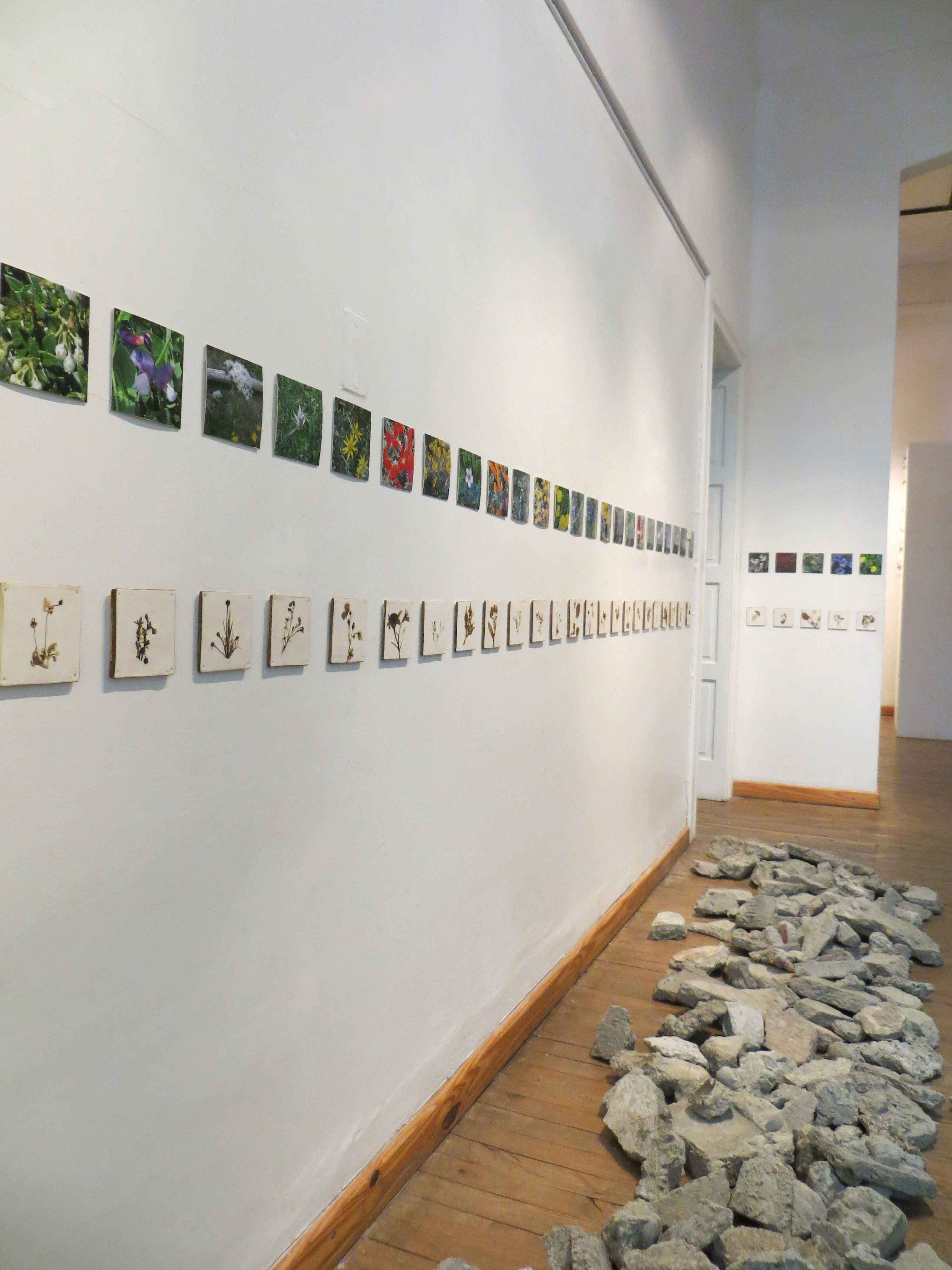 «NATURALEZA Y URBANISMO» con «GRUPO 5» en el Museo de Arte Eduardo Minnicelli, Río Gallegos