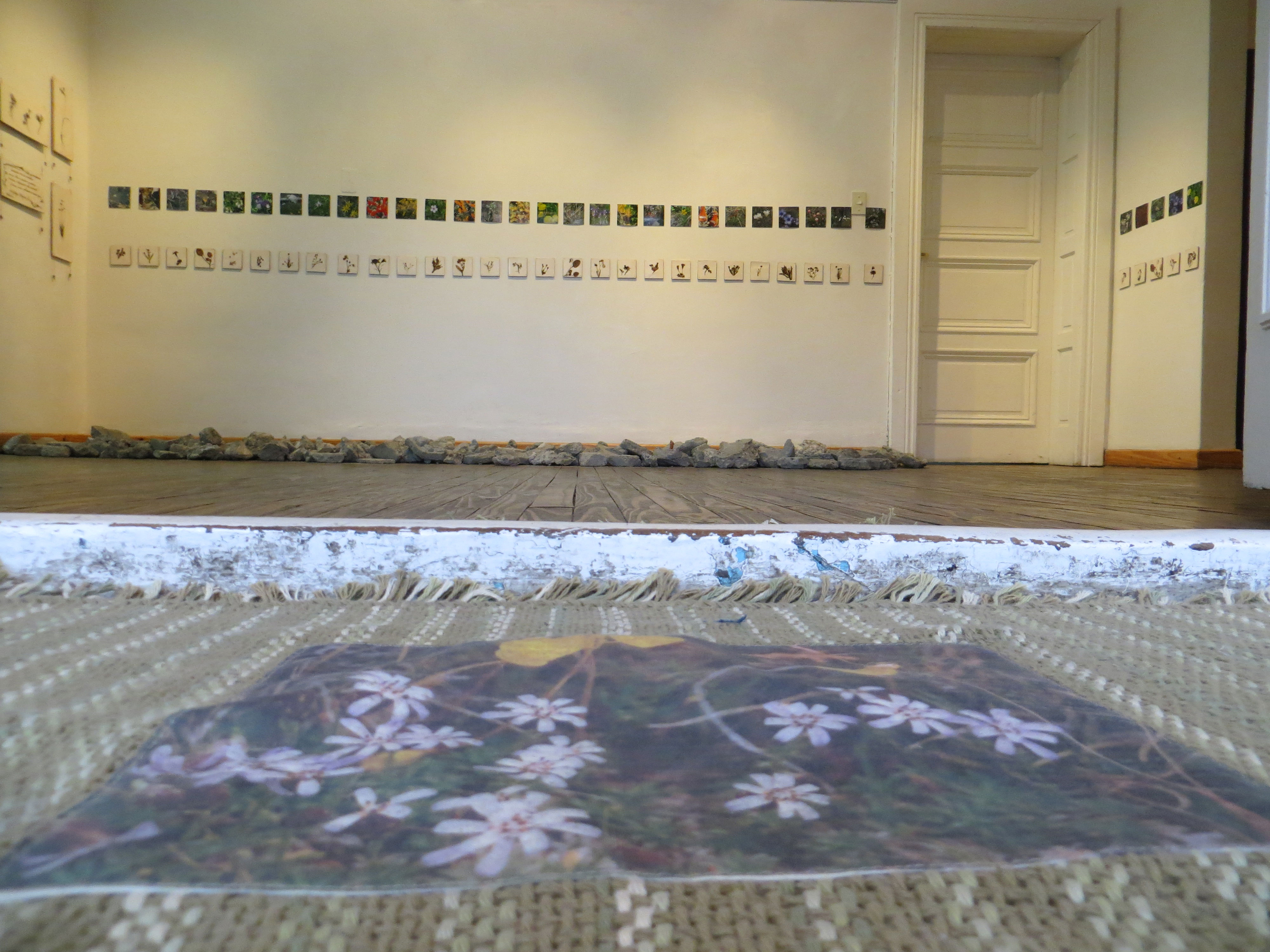 «NATURALEZA Y URBANISMO» con «GRUPO 5» en el Museo de Arte Eduardo Minnicelli, Río Gallegos