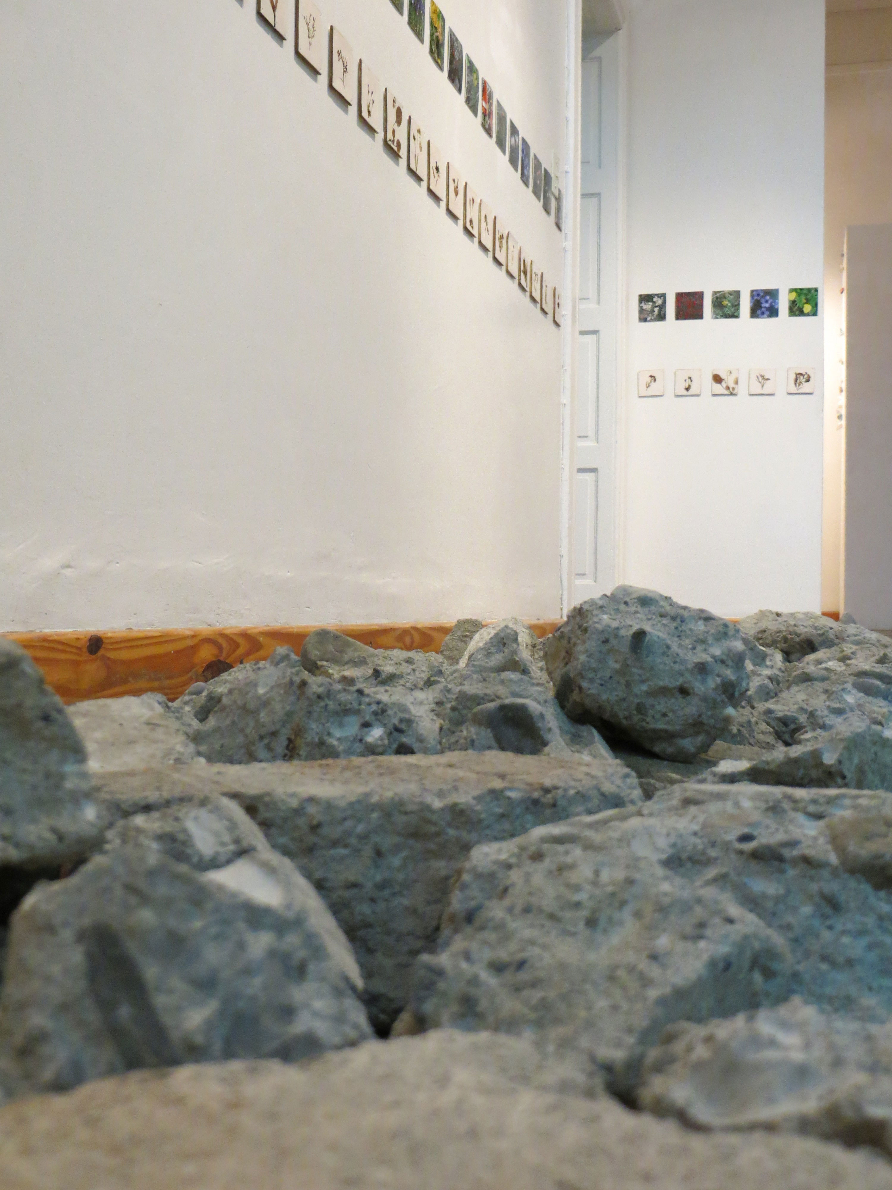 «NATURALEZA Y URBANISMO» con «GRUPO 5» en el Museo de Arte Eduardo Minnicelli, Río Gallegos