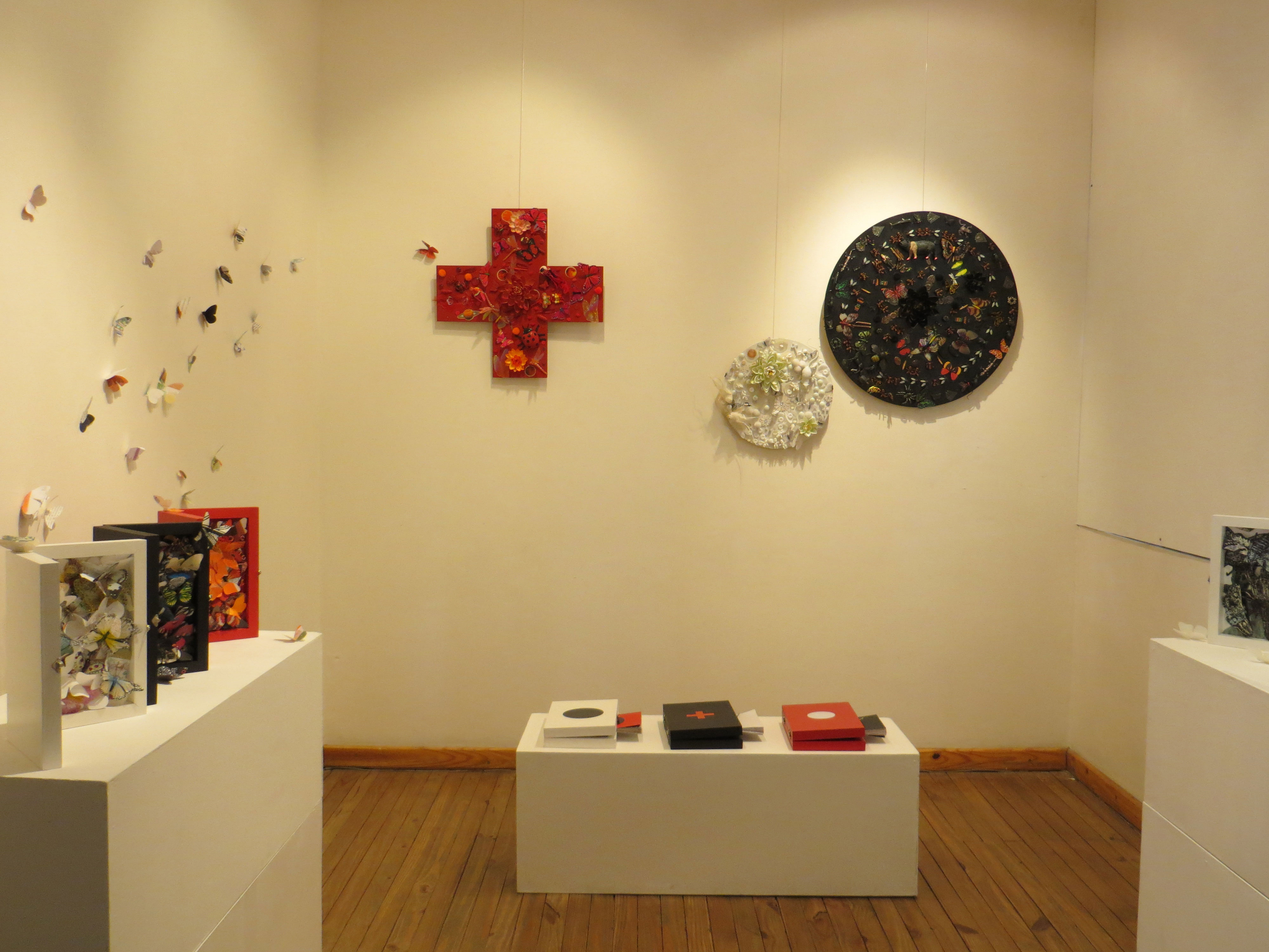 «NATURALEZA Y URBANISMO» con «GRUPO 5» en el Museo de Arte Eduardo Minnicelli, Río Gallegos