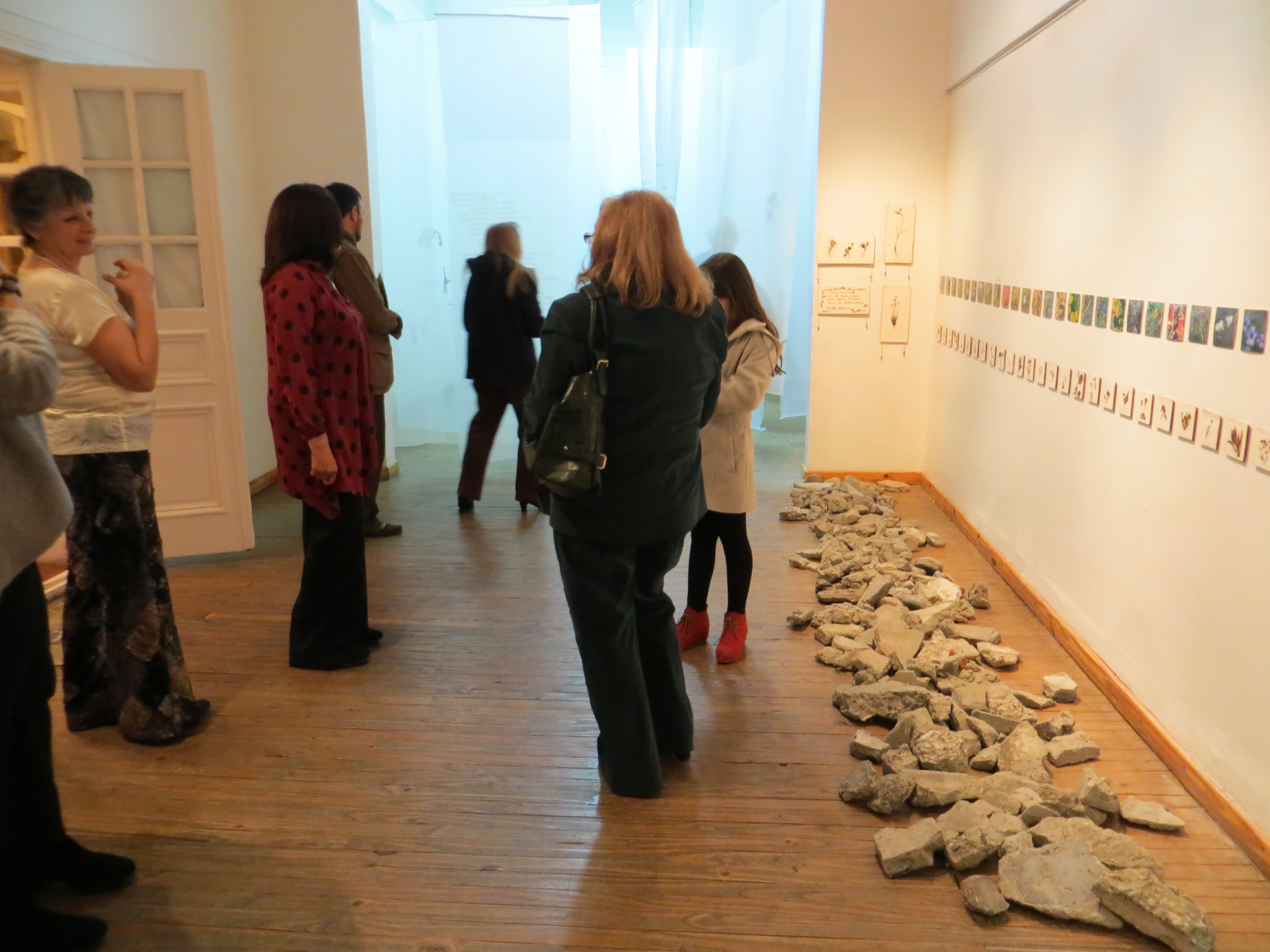 «NATURALEZA Y URBANISMO» con «GRUPO 5» en el Museo de Arte Eduardo Minnicelli, Río Gallegos