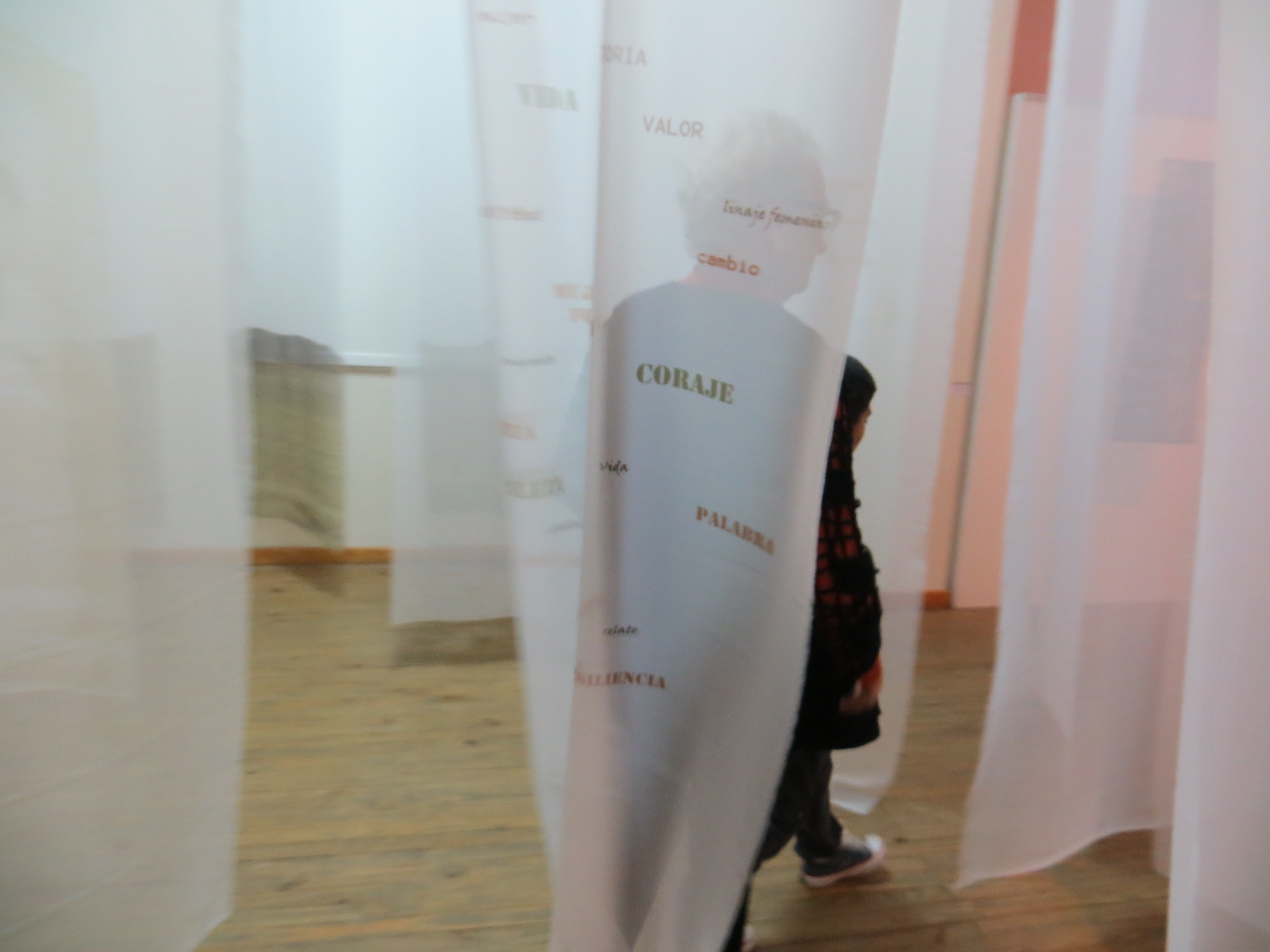 LUCIA TORRES - Instalación MIGRANTE en «NATURALEZA Y URBANISMO» con «GRUPO 5» en el Museo de Arte Eduardo Minnicelli, Río Gallegos