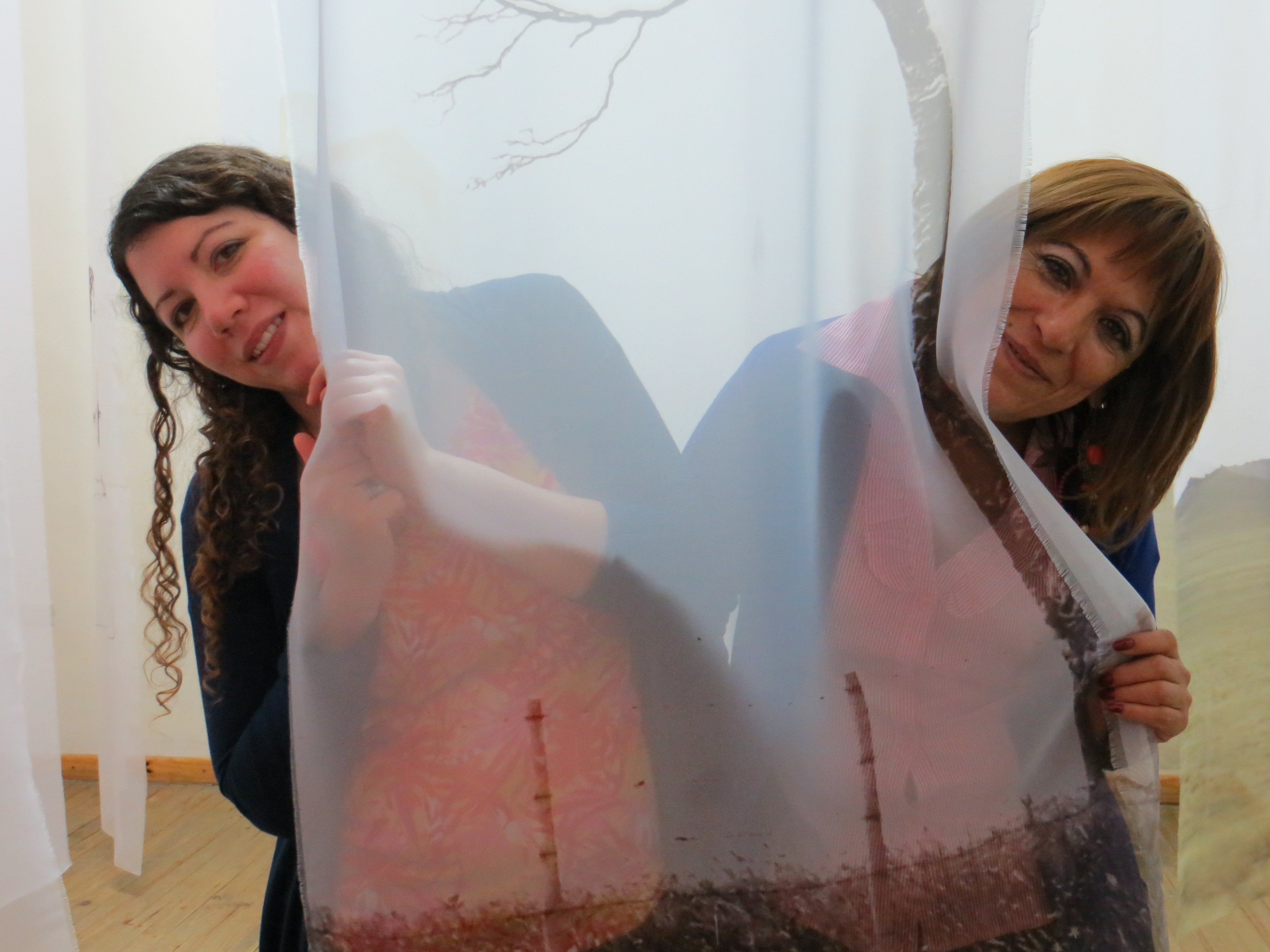 LUCIA TORRES - Instalación MIGRANTE en «NATURALEZA Y URBANISMO» con «GRUPO 5» en el Museo de Arte Eduardo Minnicelli, Río Gallegos