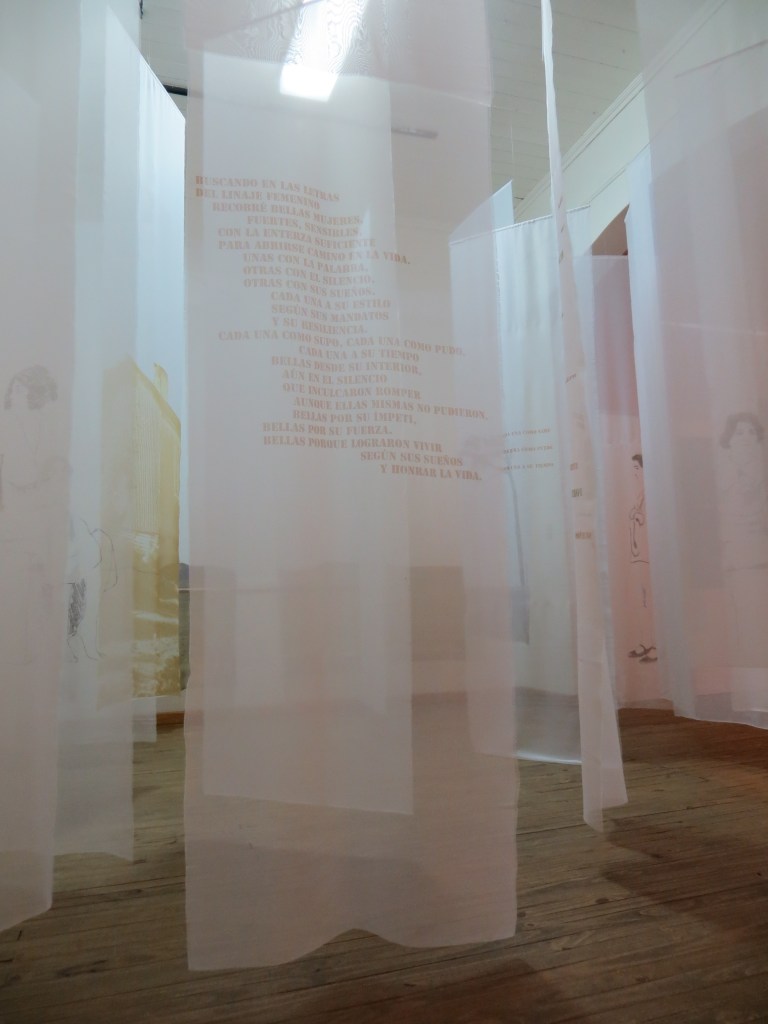 LUCIA TORRES - Instalación «MIGRANTE» en el Museo de Arte Eduardo Minnicelli