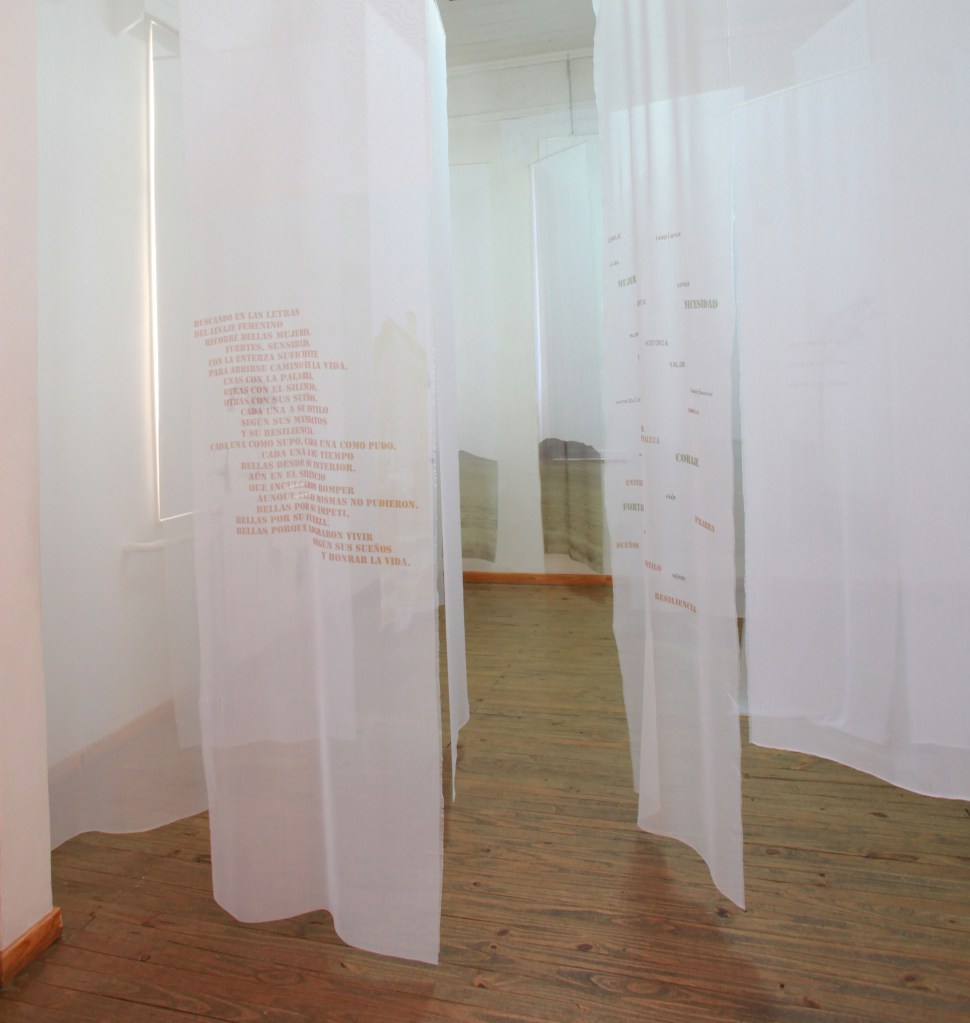 LUCIA TORRES - Instalación «MIGRANTE» en el Museo de Arte Eduardo Minnicelli