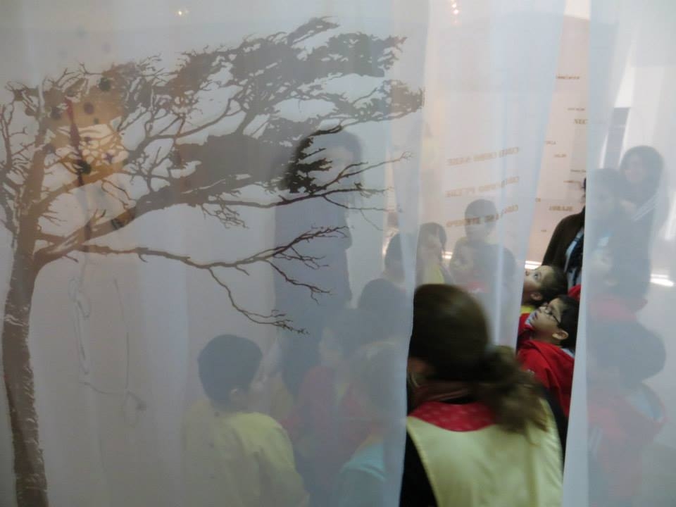 LUCIA TORRES - Instalación MIGRANTE en «NATURALEZA Y URBANISMO» con «GRUPO 5» en el Museo de Arte Eduardo Minnicelli, Río Gallegos