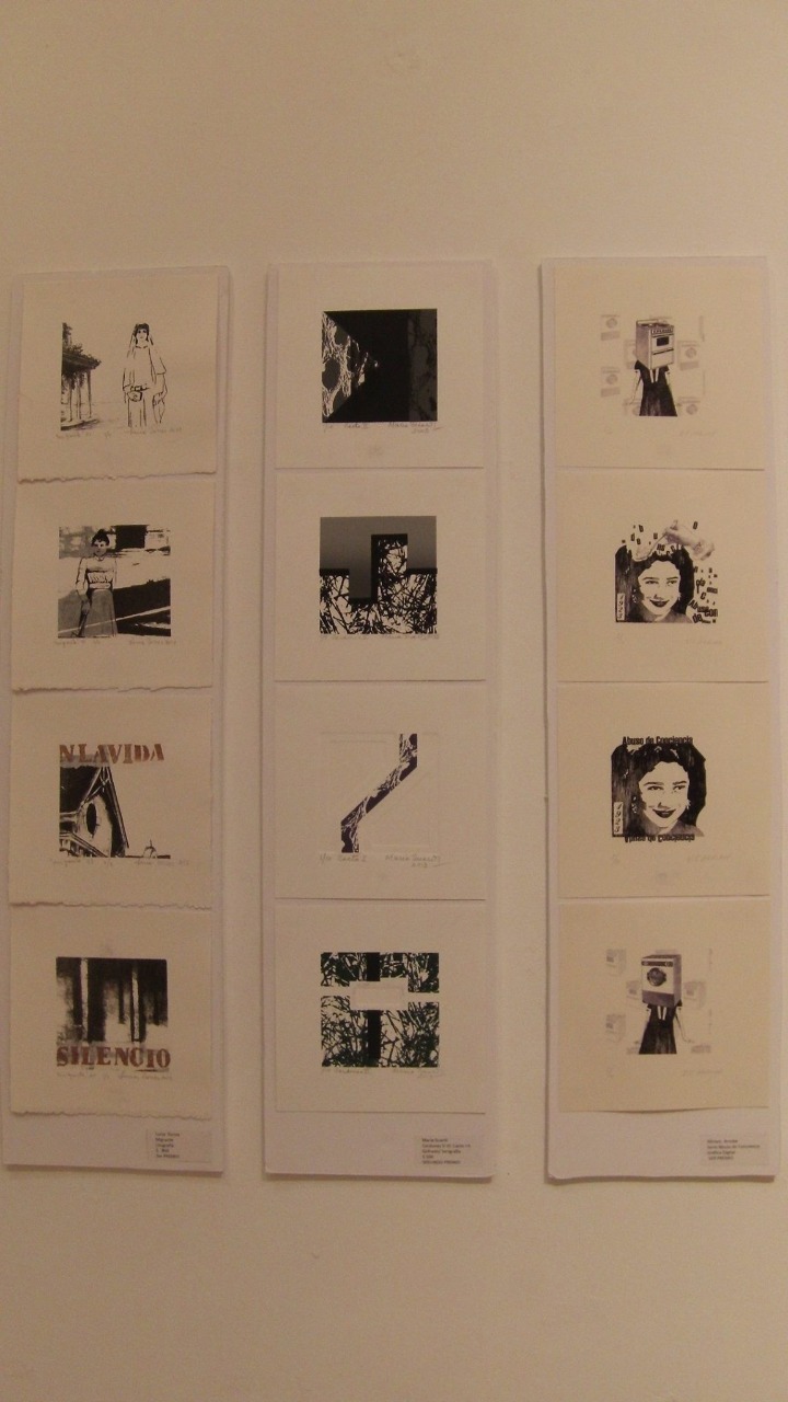 «MINIPRINT 2014 Argentina-Austria» en Paraná, Entre Ríos