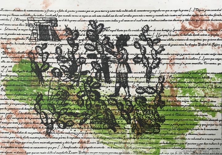 LUCIA TORRES «Grana cochinilla» 2 25x35cm, edición de 5 estampas - Año 2021 en Impronta Lab - Taller (Cholula, México)