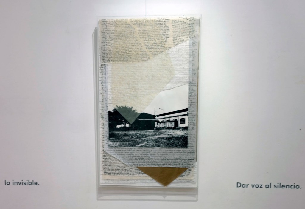 LUCIA TORRES - Muestra «De qué hablan», Museo de Arte Eduardo Minnicelli, Río Gallegos