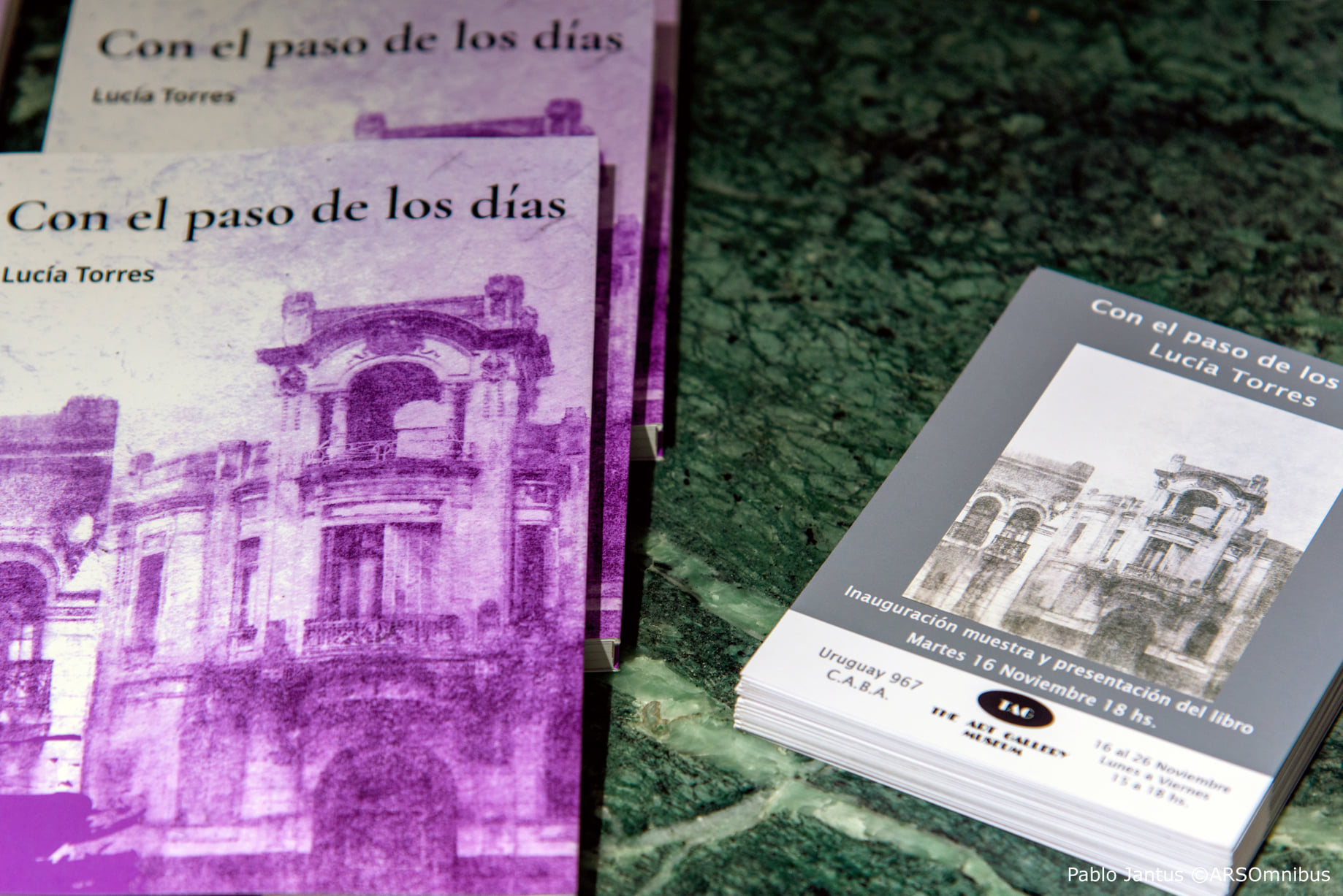 LUCIA TORRES - Muestra «Con el paso de los días», The Art Gallery Museum TAG, CABA