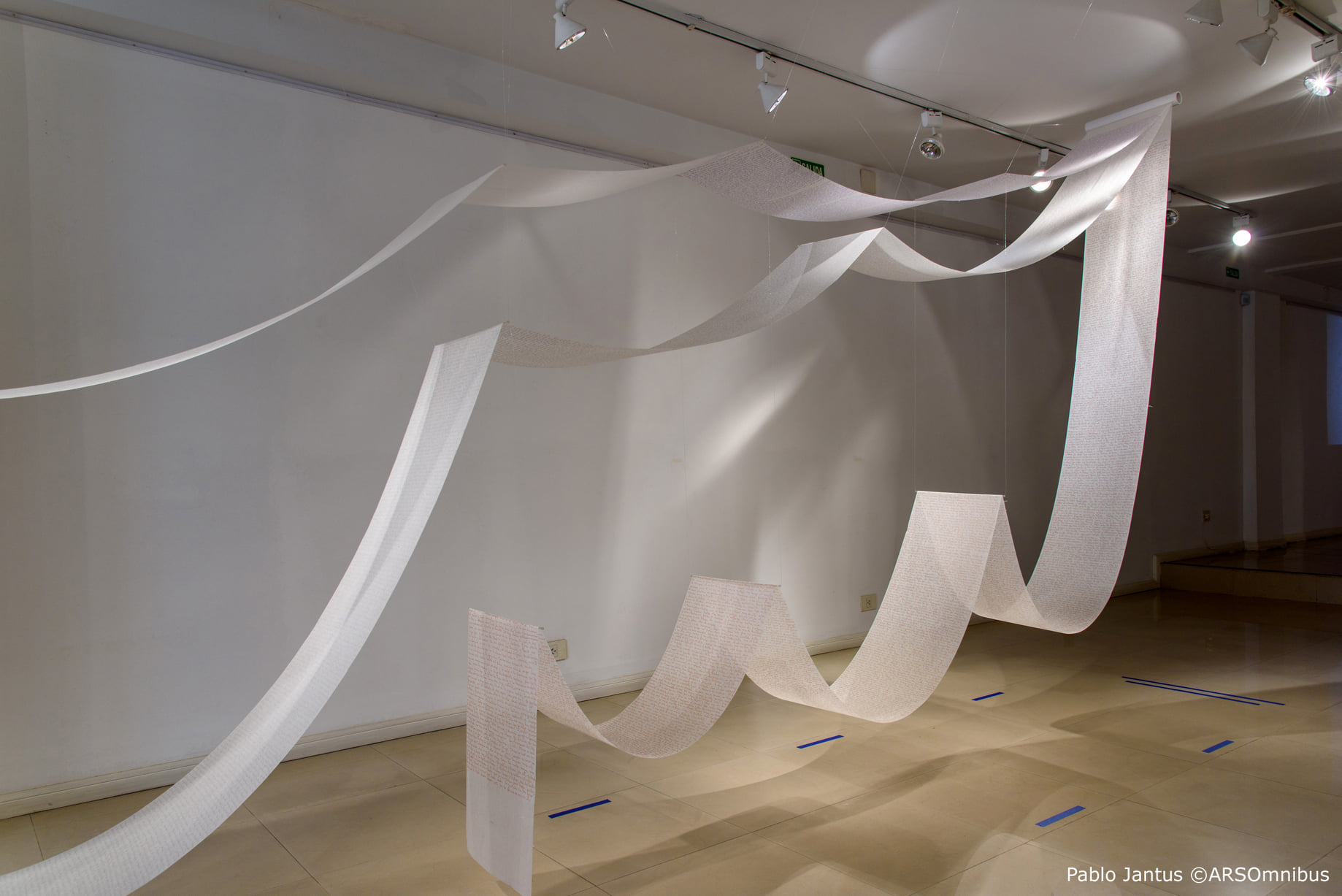 LUCIA TORRES - Muestra «Con el paso de los días», The Art Gallery Museum TAG, CABA