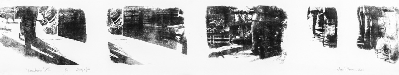 LUCIA TORRES «TERRITORIO» XL – Alugrafía 19x100cm – Año 2011