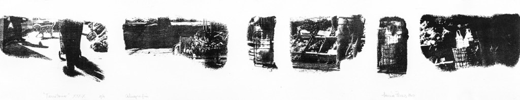 LUCIA TORRES «TERRITORIO» XXXIX – Alugrafía 19x100cm – Año 2011