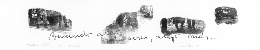LUCIA TORRES «TERRITORIO» XXXV – Alugrafía Transfer 19x100cm – Año 2011