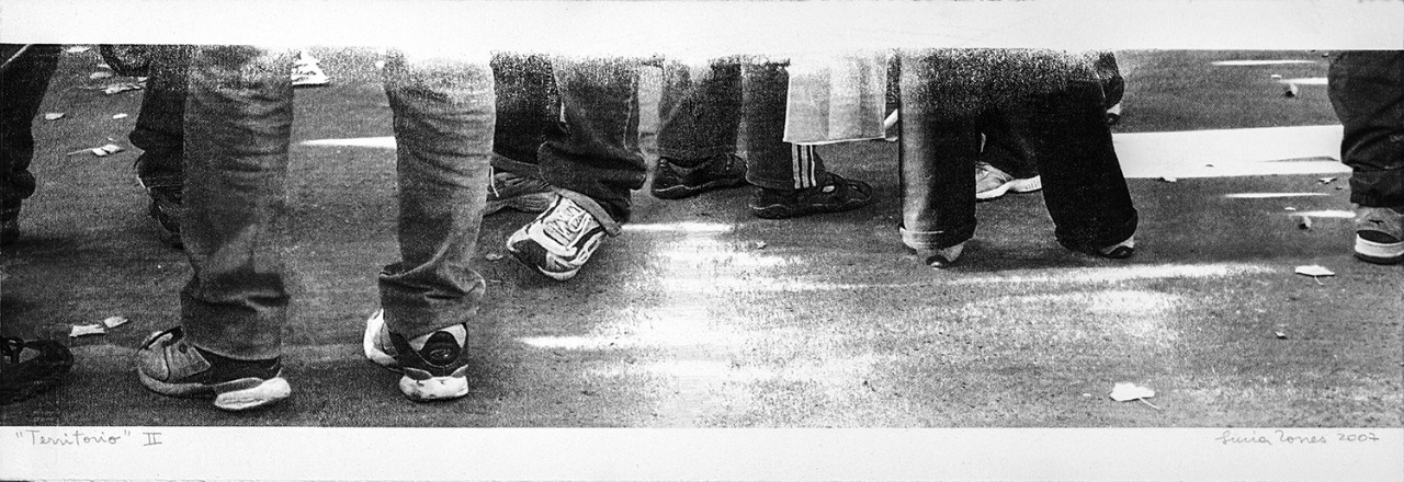 LUCIA TORRES «TERRITORIO» II – Transfer, 19x56cm - Año 2007