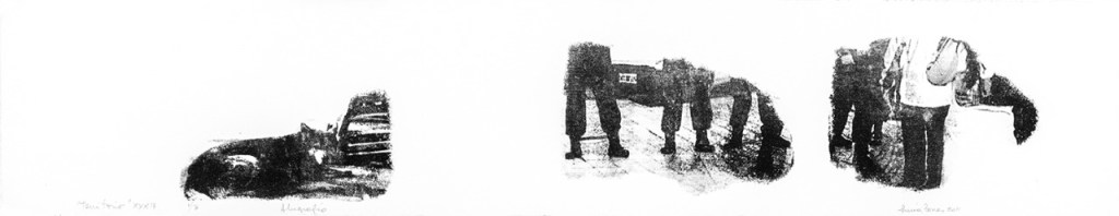 LUCIA TORRES «TERRITORIO» XXXIV - Alugrafía, 19x100cm - Año 2011