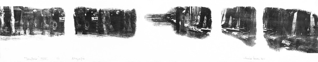 LUCIA TORRES «TERRITORIO» XXXVI - Alugrafía, 19x100cm - Año 2011