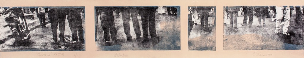 LUCIA TORRES «TERRITORIO» XXXVII - Waterless, 19x100cm - Año 2011